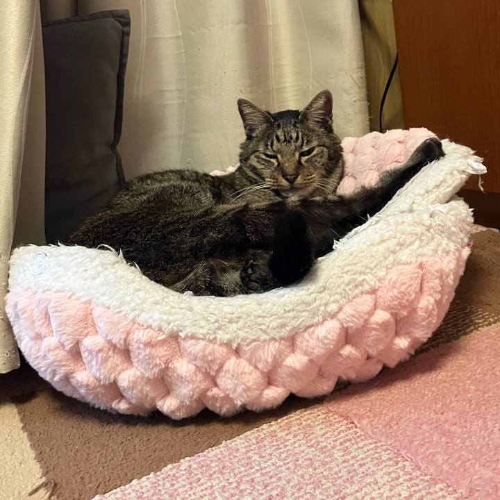 8db22b3d 4bf6 4ebb a77c af0f3b544a83 1774930826572