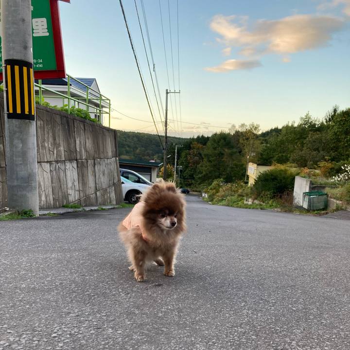 8db22f50 8eca 4bcc b450 8bb2196c09e8 1697673197264