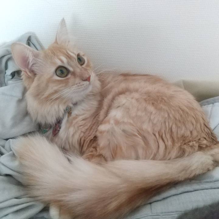 8db23df7 8b85 4633 8c90 8d0356da68bd 1639277497407