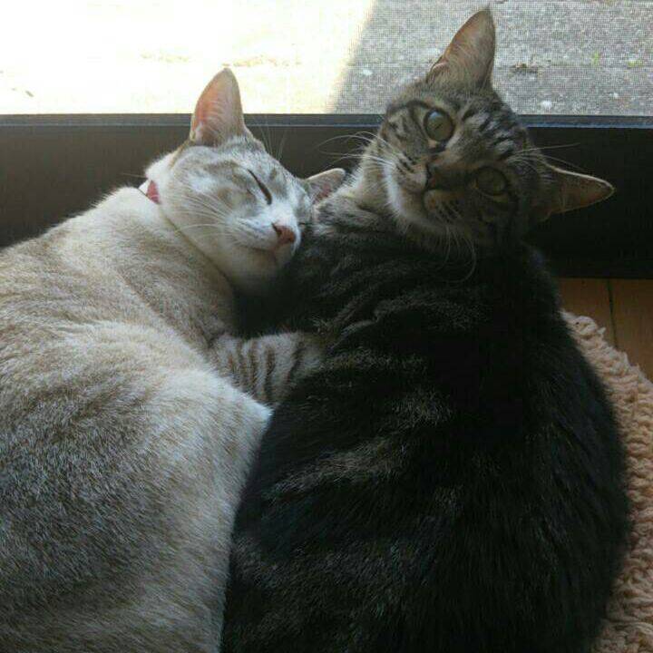 8db25041 a6e2 48c6 b255 ae11122d2fd5 1528002084131