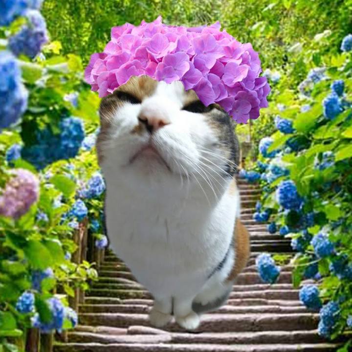 8db2601a 7f2e 4b21 b38b 74ac2ea3ddef 1560074576248