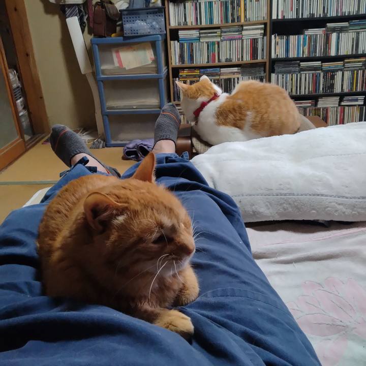 8db260b8 37bf 4d1d ab74 c2a00fc8e9df 1748252644526