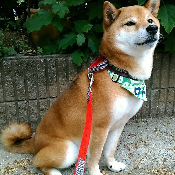 8db264b2 6786 4334 b658 c71d7a9210be 1559011899154