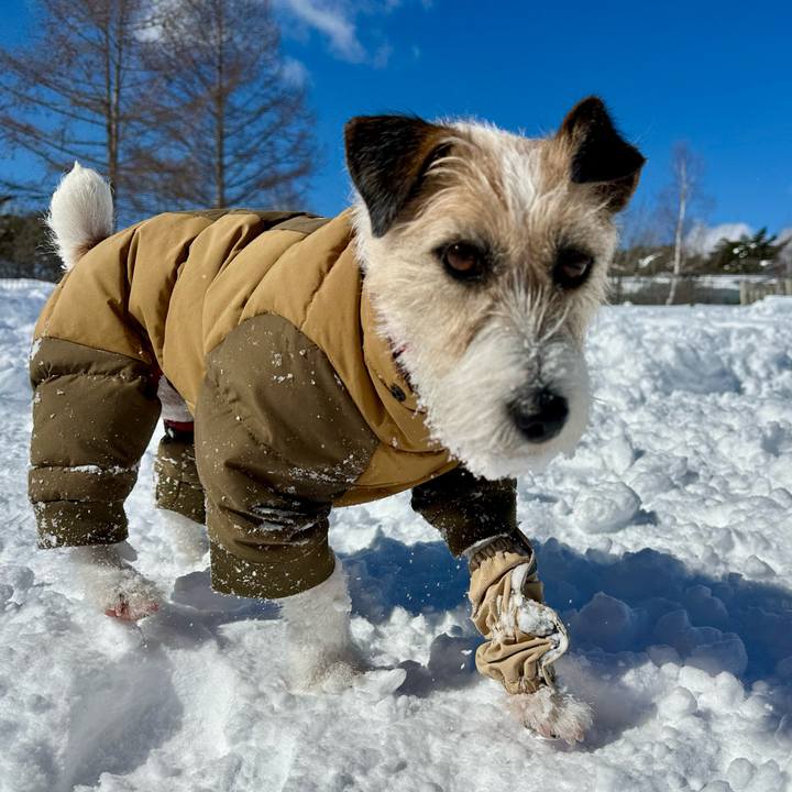 8db27ccf fbb1 488b a019 ed5078303955 1739978086873