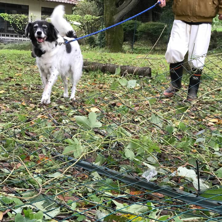 8db2a4d5 2d5a 41bf af90 585ace593bbc 1538386737214