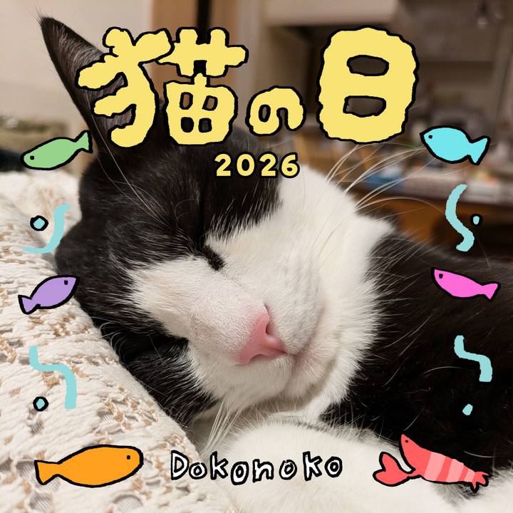 8db2abc1 5545 4aee 881b 00b5ce0320f4 1771712347380