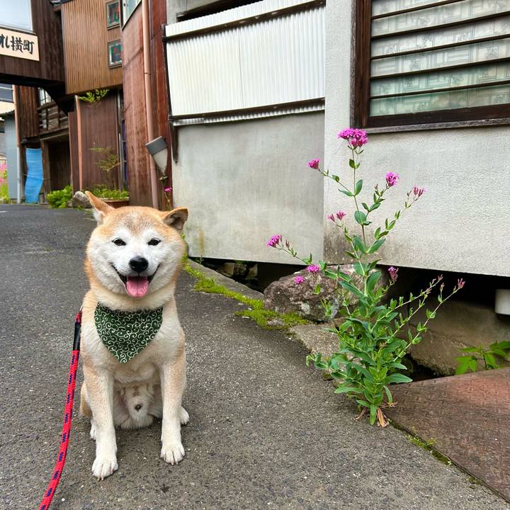 8db2f679 7b65 41f1 a54e 6872ffa4864f 1749465296489