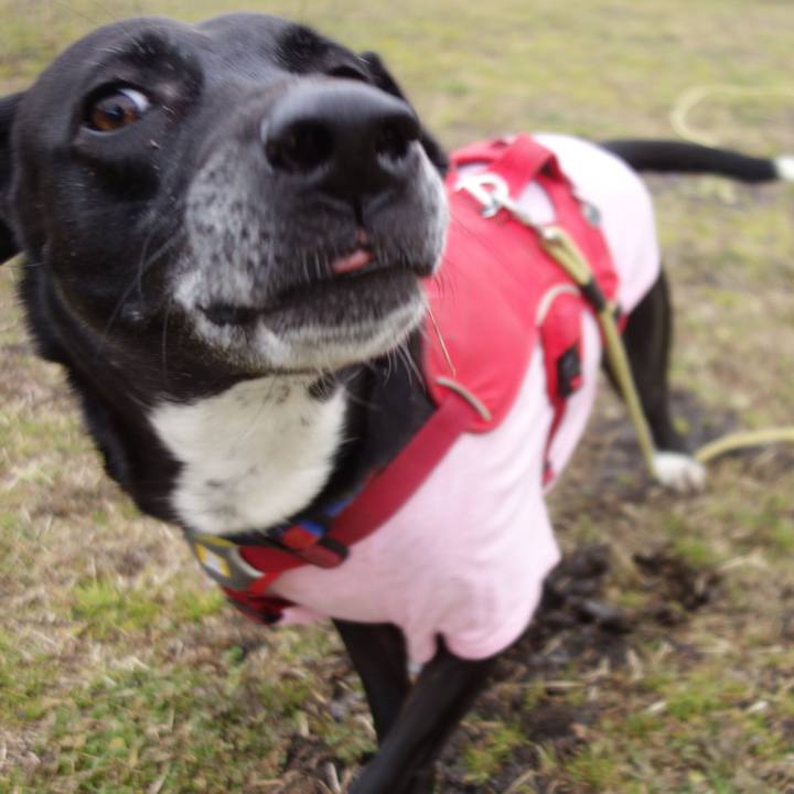 8db30d7e b576 4589 a81e f2c0f89defe8 1673917455389