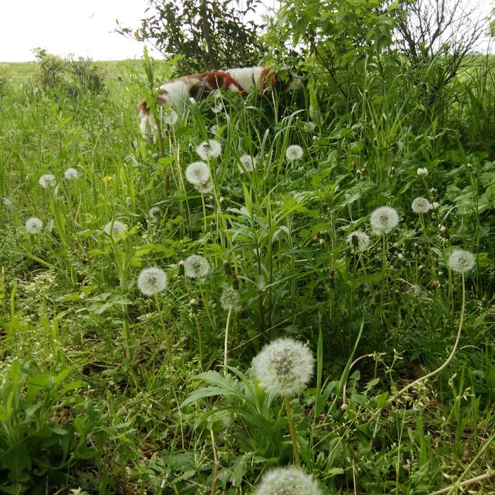 8db32049 9779 4e1d 9242 f705d7ced9fb 1524808203185