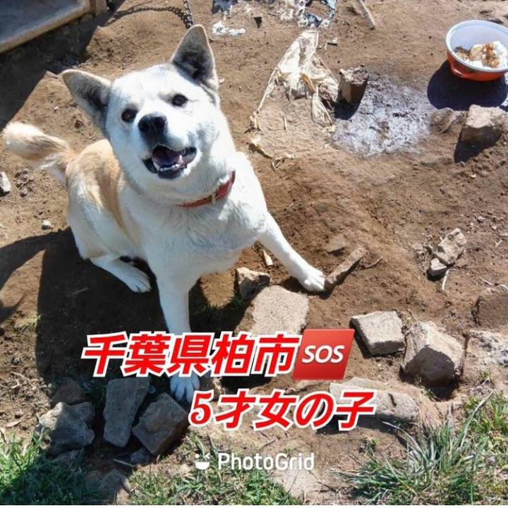 8db32677 c196 4638 af77 e8dbdccf9dae 1707988232765