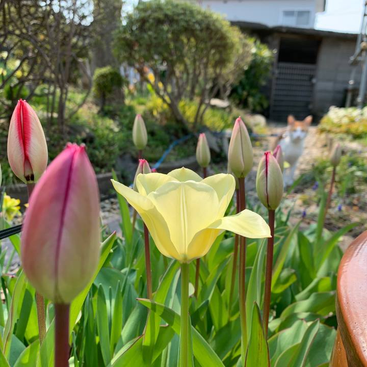 8db337a3 44ef 479e 8b49 a8a9f3065c7b 1586914098099