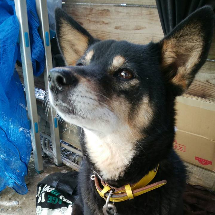 8db35ccb b821 47da b797 cf9fe0241a1d 1512786776867