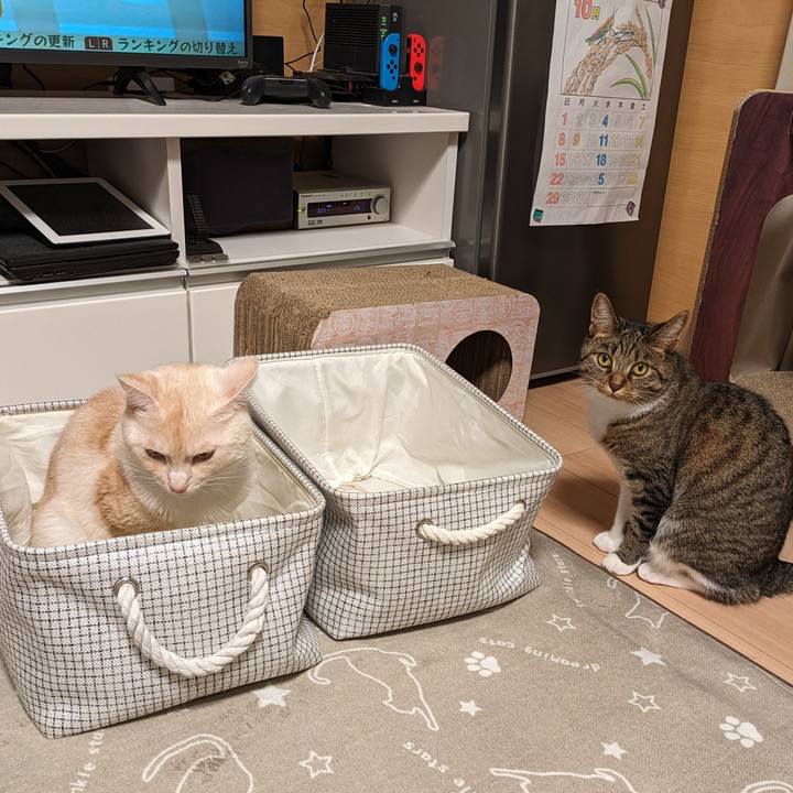 8db369f6 db3f 4278 861c 4ed7e0a279e8 1696949786569