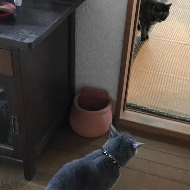 8db3b8b4 7b11 483c b443 684daca934fc 1537143842914