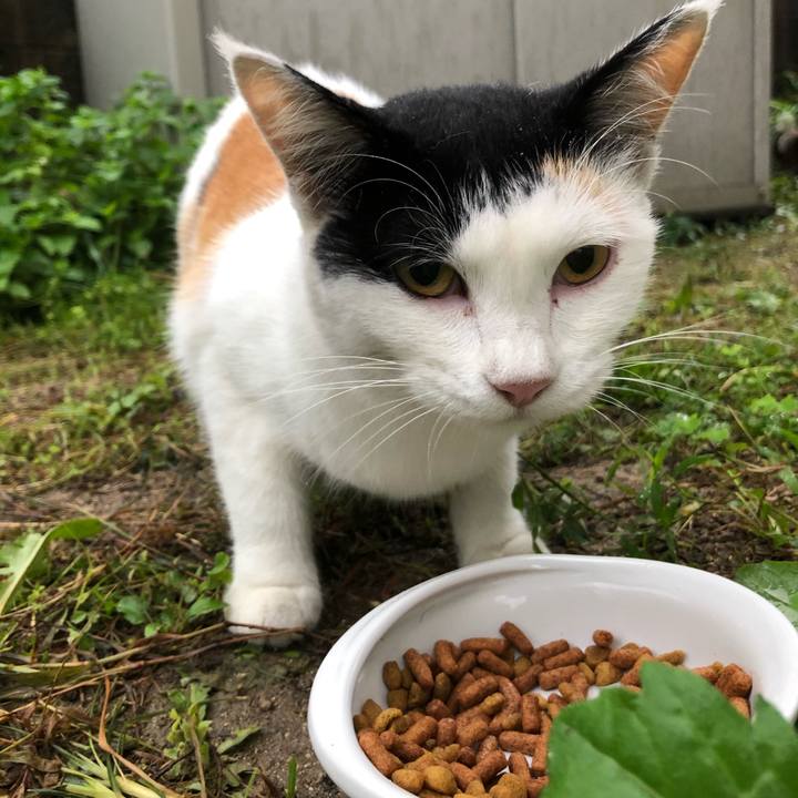 8db3cfbd 7a9f 4695 ab14 547299639897 1600380781279