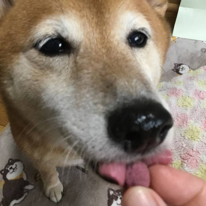 8db407c6 f909 4af2 b49a 7b390e9e4586 1601868731865