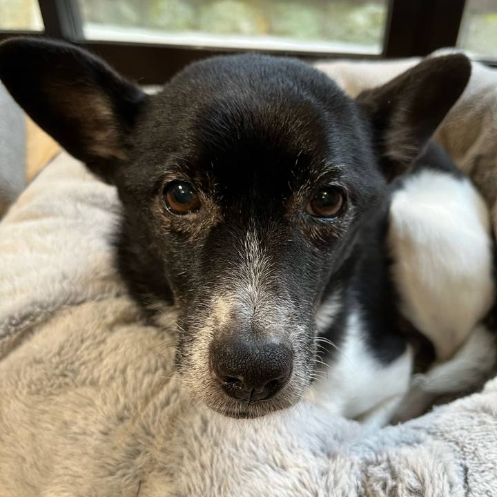 8db4179e ae98 49ba a68e e000c6ef912a 1669938865226