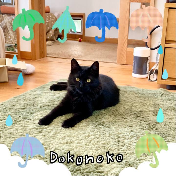 8db4ca88 2ee3 4192 8cf5 feb935bd7e28 1718334663348