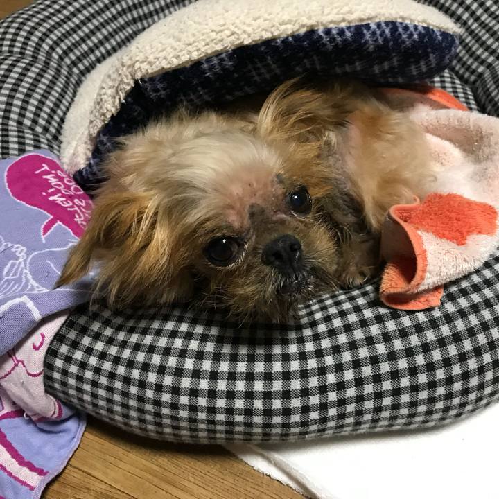 8db4eb7c 1208 4226 8b36 625d65564c57 1758605061464