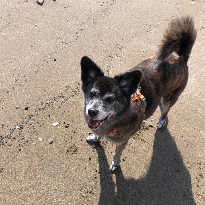 8db4f0d6 6f28 4a59 88a1 70701689ef70 1703649097390