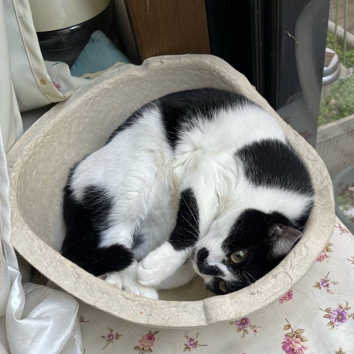 8db53dd2 9671 41c0 959f ebe99077a160 1732533734207