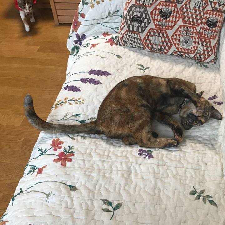 8db5570b 2c36 4286 9af6 f0f0d8b4381c 1620111761473