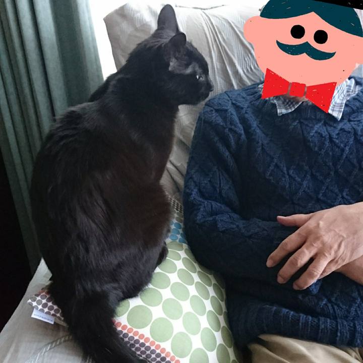 8db56b28 49dc 4ccf a08d be299fbe9e59 1546305232342