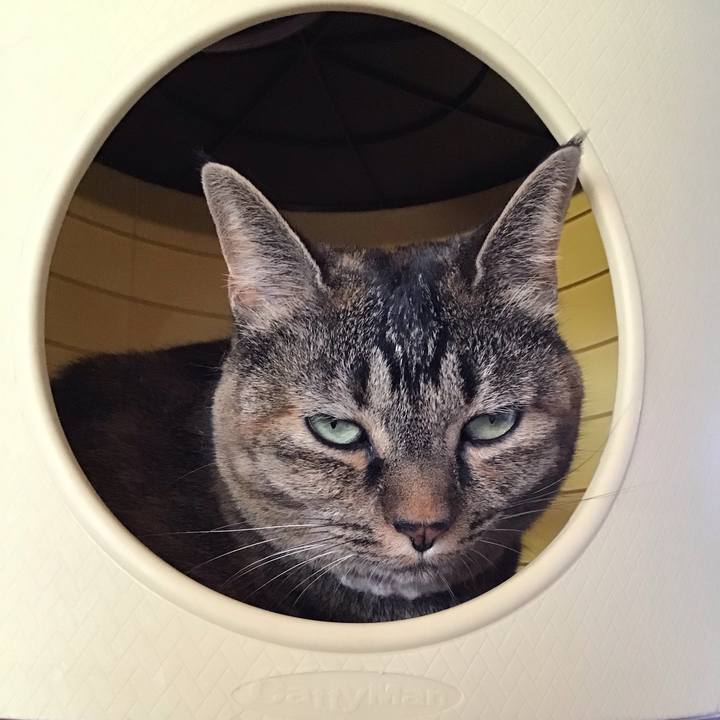 8db5888e 5c12 4056 a467 c59489c41ea6 1694690976412