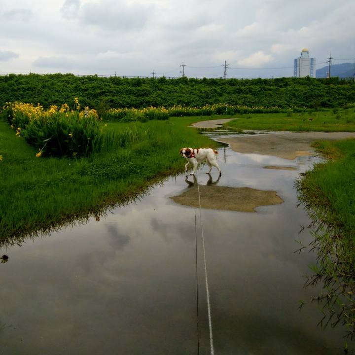 8db5bed7 c2d2 4276 87e8 2227fc4b29d3 1563890357615