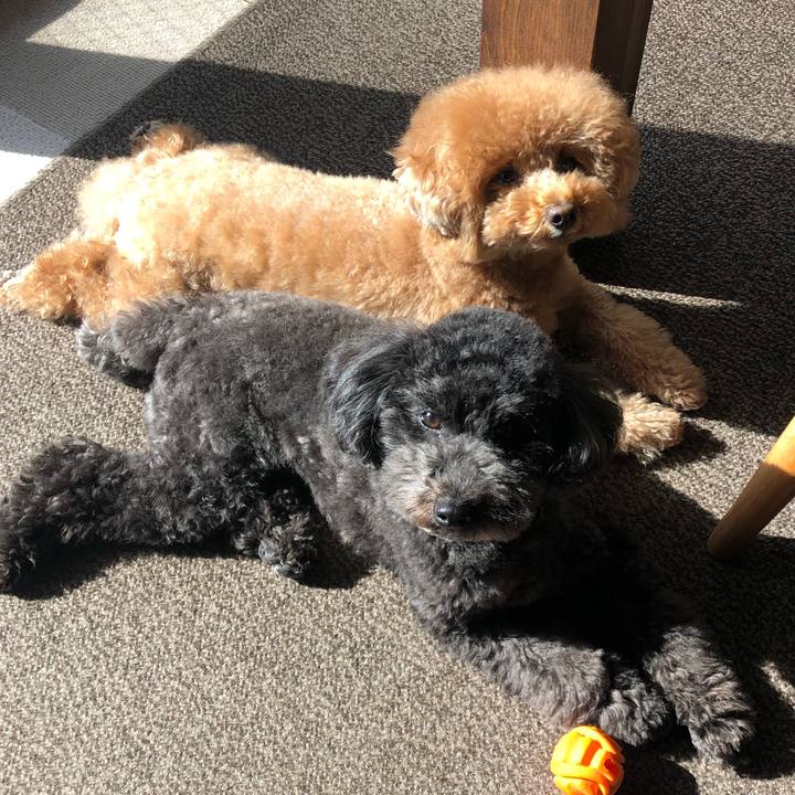 8db5cd2f 0a82 4206 bc6a 0d7158e61603 1615455225896