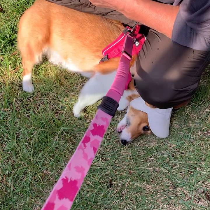 8db5dc4f 9bd7 4df8 a8b6 2285e02ff818 1666844420285