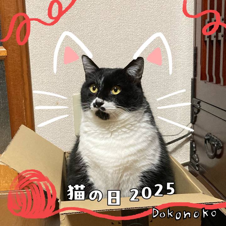 8db620e1 ae3f 4411 be0d 1e67ec5d6552 1740143812650