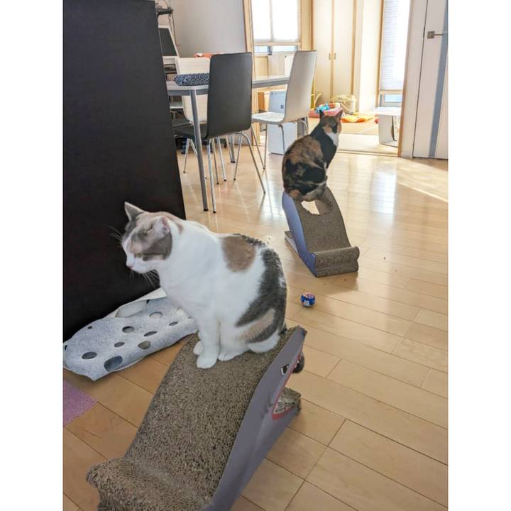 8db65e40 72e4 4fcc 9aca 4f25a650ae43 1704771451998