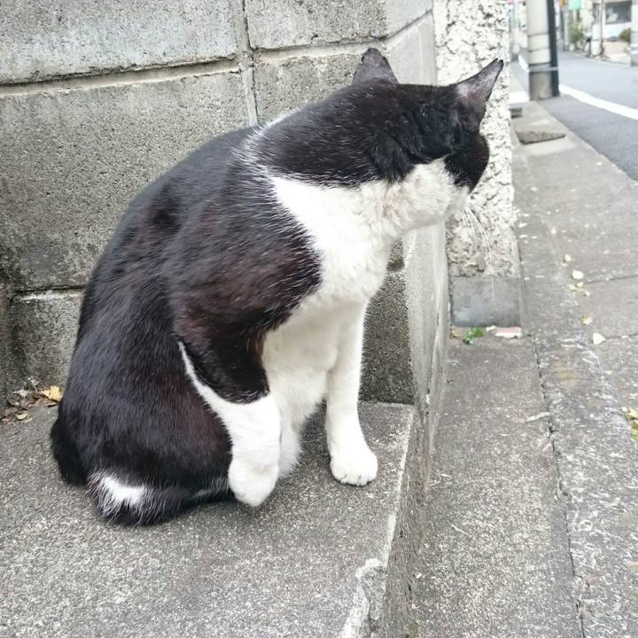 8db665f4 d6be 4c47 a101 e94023db2f82 1514082180157