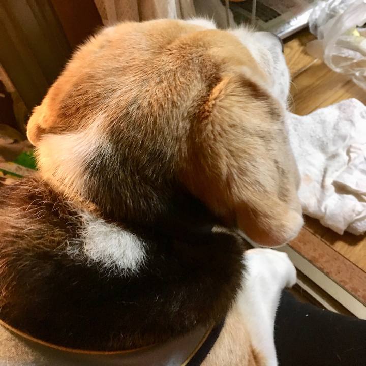 8db682b4 269e 4527 a055 986b5f6d3ba6 1537798731250