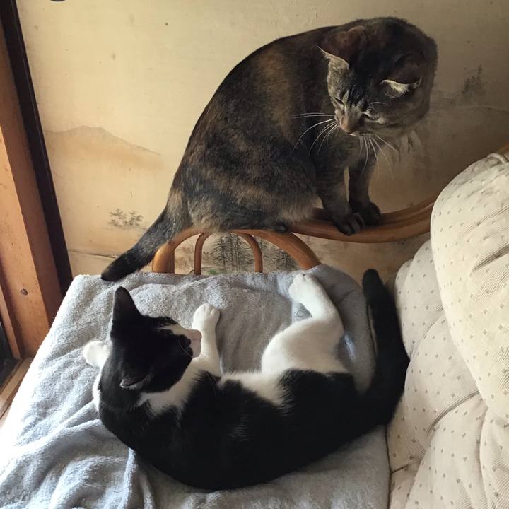 8db68bbd 36e3 4321 afd3 196d32389af2 1629180003415