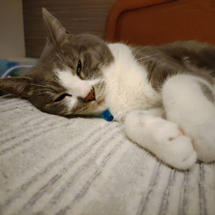 8db72201 c612 491c b71b 3ea5b7702526 1719925007666