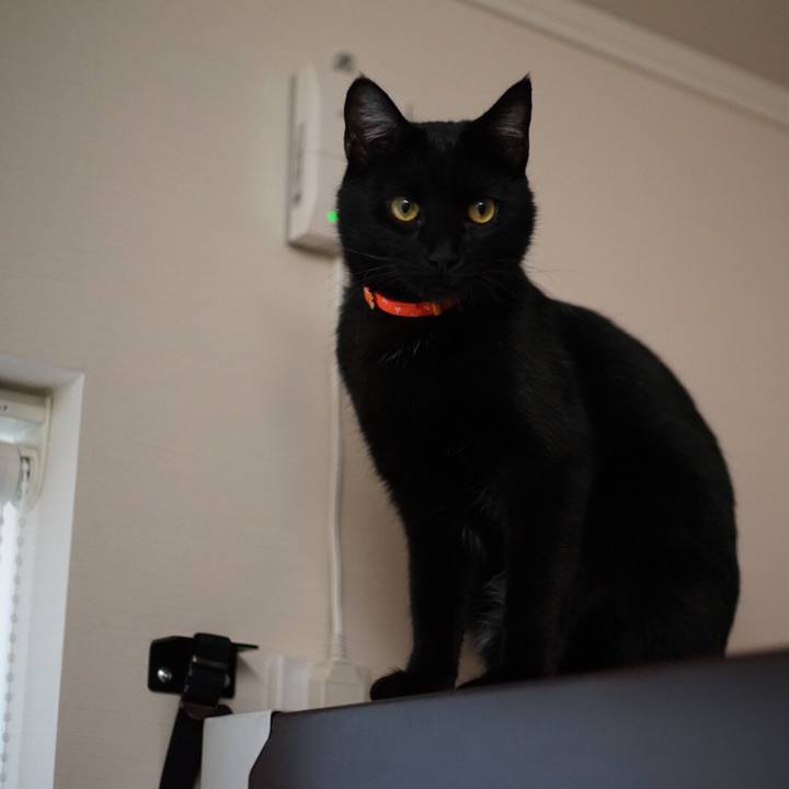 8db72e59 09a7 41ed 8745 ffcba7b47456 1521070942330