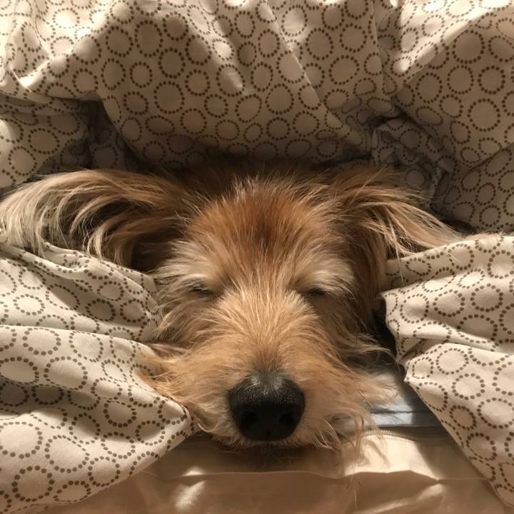 8db73614 c292 4723 9bf7 46e9423958f0 1603424474348