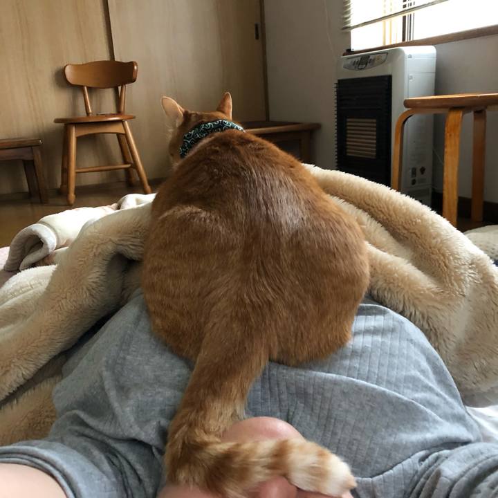 8db74b8d aee0 4564 9e8f a7fc6714c7e3 1559854480165