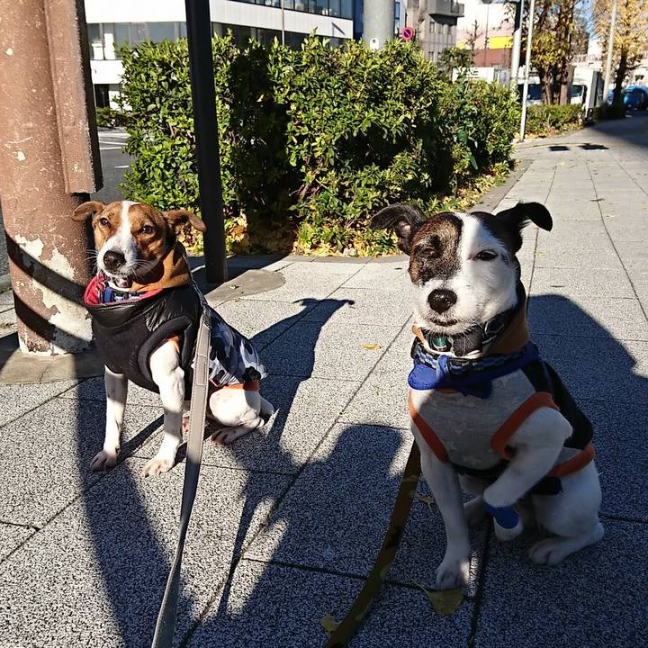 8db74f60 0875 4e8b 8837 9253982e7ade 1546041931094