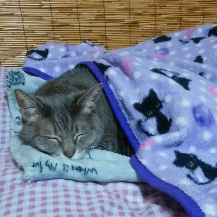 8db76da6 c1a6 432e 929b b09d23c14ce1 1517156363677