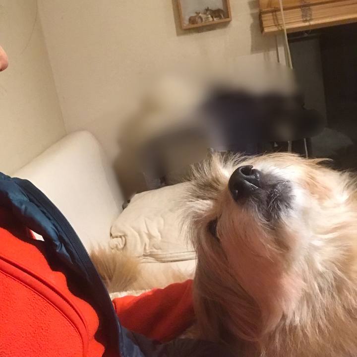 8db77506 04db 44a1 aa02 553234bc8ff1 1676286961492