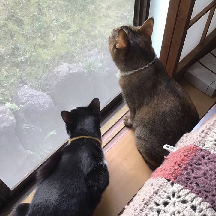 8db7823f b986 4f13 93d2 4251579058ea 1649714517848