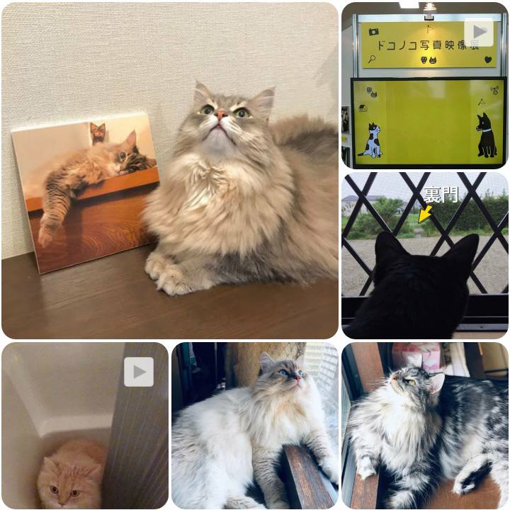 8db7876a 9a27 4c67 a5c3 62e624027be6 1560078224255