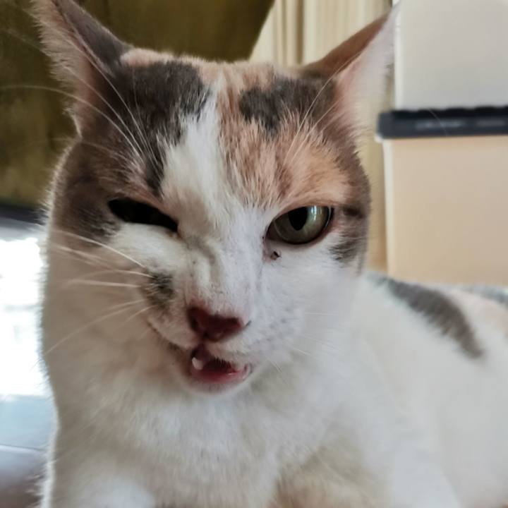 8db7a03e b975 406c 8ef6 90fb891e8022 1633060971877