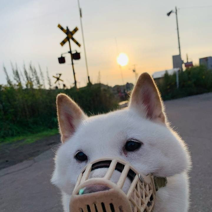 8db7c746 808b 4656 a30d bdcaea272125 1630011685448