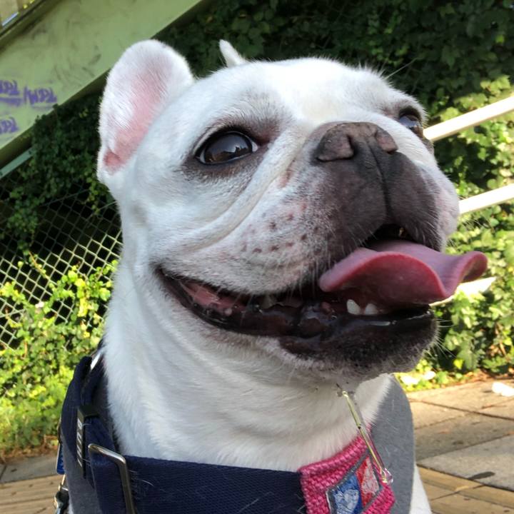 8db7e0db 2d1a 4ed2 bc36 bfb2cd8a5de3 1633138988515