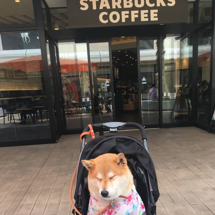 8db7f2ab a357 4855 9714 ed59c33e9f7b 1563435061223