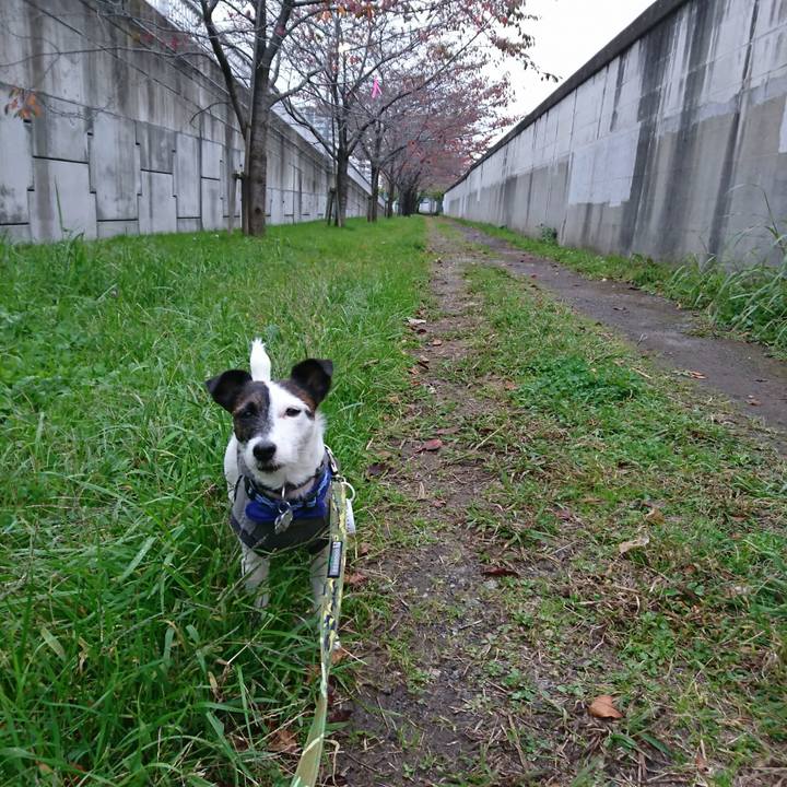 8db84496 3d20 4911 8b70 3974f8fcba8a 1510091350520